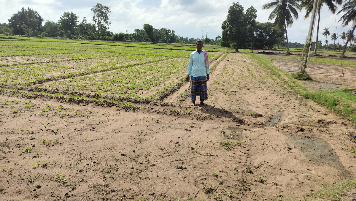 JoKrishnaraj's tweet photo. @cudcollector @CMOTamilnadu
Herewith attached, Photos of Groundnut seed crops are destroyed by #flood.
District: Cuddalore 
 Revenue Village: T.Paliyam
Survey no :15/1,15/2&amp;15/3
Field area :2 Acr

If you look at the tillage account, the cultivated crops will not reach the home. https://t.co/rpH8on27gs