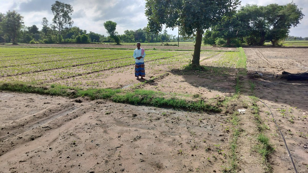 JoKrishnaraj's tweet photo. @cudcollector @CMOTamilnadu
Herewith attached, Photos of Groundnut seed crops are destroyed by #flood.
District: Cuddalore 
 Revenue Village: T.Paliyam
Survey no :15/1,15/2&amp;15/3
Field area :2 Acr

If you look at the tillage account, the cultivated crops will not reach the home. https://t.co/rpH8on27gs