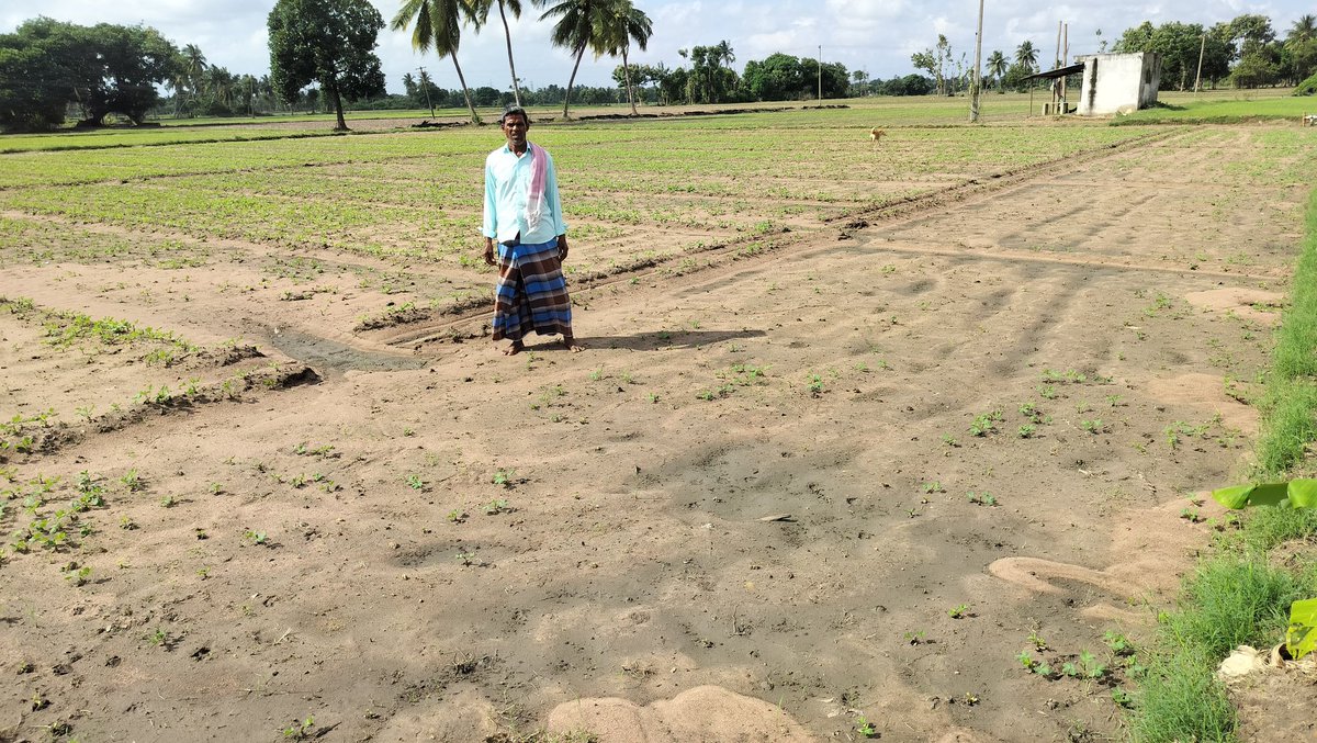 JoKrishnaraj's tweet photo. @cudcollector @CMOTamilnadu
Herewith attached, Photos of Groundnut seed crops are destroyed by #flood.
District: Cuddalore 
 Revenue Village: T.Paliyam
Survey no :15/1,15/2&amp;15/3
Field area :2 Acr

If you look at the tillage account, the cultivated crops will not reach the home. https://t.co/rpH8on27gs