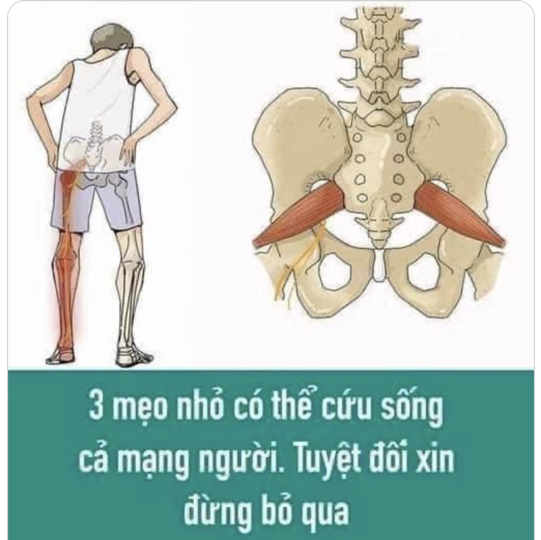 admvhv's tweet photo. THẤY HAY, MỌI NGƯỜI NÊN LƯU LẠI!
Nghẹn cổ, sái cổ, chuột rút, tê chân… thi thoảng những biến cố này đột nhiên xuất hiện, nhưng nếu xử trí không kịp thời cũng có thể gặp nguy hiểm.
Tuy nhiên, thực ra chỉ cần một vài mẹo nhỏ là bạn có thể “thoát nạn” trong gang tấc, còn chờ gì mà không xem thử nhỉ?
Dưới đây là chia sẻ một số mẹo nhỏ để xử trí rắc rối trong cuộc sống. Nó hoàn toàn là tri thức để có thể cứu người.

1. Phương thức xử lý khi bị nghẹn đồ vật – Chỉ cần “giơ tay lên”
Tại nước Mỹ, một cậu bé 5 tuổi đã cứu sống bà ngoại mình khỏi nghẹn bằng cách thức rất đơn giản, đó là “giơ tay lên”.
Bà của Michelle Stewart, 56 tuổi, vừa xem tivi vừa ăn thạch, khi quay đầu lại, một mảnh thạch bị mắc kẹt trong cổ họng. Bà cố gắng bóp bụng để tự giúp mình, nhưng không có kết quả.
Sau đó cậu cháu hỏi: “Bà ơi, bà nghẹn à?”. Bà vẫn nói không ra lời: “Chắc là bà đang nghẹt thở, bà ơi, giơ hai tay lên, giơ hai tay đi”. Bà cậu đành nghe theo, kết quả thật sự nhổ được cục thạch ra. Cậu bé lúc ấy rất bình tĩnh, cậu còn khoe với bà rằng đây là điều mình được học trong trường.

2. Bị sái cổ
Bạn thỉnh thoảng có bị cứng cổ khi thức dậy buổi sáng không? Là sái cổ.
Một khi bị sái cổ, bạn xử lý như thế nào?
Đơn giản thôi, bạn chỉ cần nhấc chân lên!
Kéo ngón chân cái ra, lấy tay xoay tròn từ từ theo chiều kim đồng hồ hoặc ngược chiều kim đồng hồ.

3. Chuột rút ở chân
Khi chân trái bị chuột rút thì giơ tay phải lên, ngược lại thì giơ tay trái trong khi chuột rút chân phải của mình, ngay lập tức nhẹ nhàng.

4. Tê chân
Nếu tê chân trái, dùng sức vung tay phải của bạn. Nếu chân phải bị tê thì dùng sức vung tay trái.

5. Chiếc kim khâu gia dụng cũng có thể trở thành dụng cụ hữu ích trong việc cứu người. Vì cha mẹ già, ta cần nhất định nhớ kỹ 3 phép cứu mạng dùng kim khâu quần áo.
• Đầu tiên, liệt nửa người hay bán thân bất toại (không phân biệt xuất huyết não hay tắc máu), mắt miệng nghiêng lệch, ngay lập tức lấy kim khâu quần áo châm vào điểm thấp nhất dái tai bệnh nhân, đến khi nhỏ ra một giọt máu, bệnh nhân ngay lập tức được phục hồi, hơn nữa có thể không để lại bất kỳ di chứng nào.
• Thứ hai, bệnh tim đột tử phát sinh, lập tức cởi bít tất người bệnh, tương tự lấy kim châm lên mười ngón chân, ra một giọt máu, lần lượt bóp hết mười ngón chân, người bệnh có thể lập tức tỉnh táo lại.
• Thứ ba, dù là hen suyễn thở khò khè hay viêm thanh quản cấp tính các loại… phát hiện người bệnh thở không ra hơi, đến mức mặt đỏ tía tai, hãy nhanh chóng dùng kim châm lên chóp mũi, rồi thì có thể bóp ra hai giọt máu đen (máu độc).

Ba phương pháp “hồi dương cứu nghịch” trên không có bất kỳ nguy hiểm gì, hãy yên tâm là có hiệu quả trong vòng 10 giây.
Nguồn : Huong Nguyen