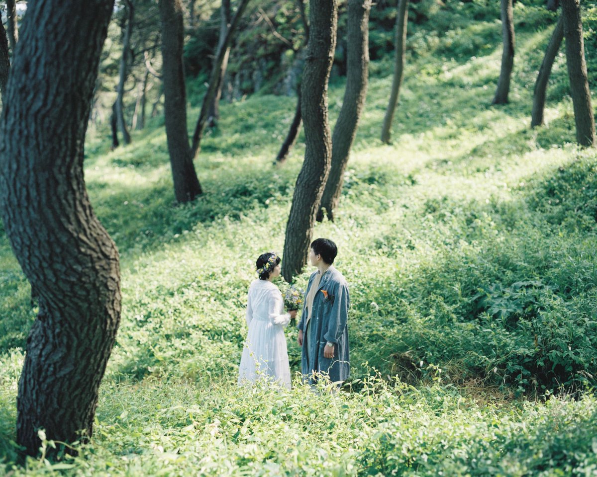 hossyfilm's tweet photo. film https://t.co/sMpZH5wNEd