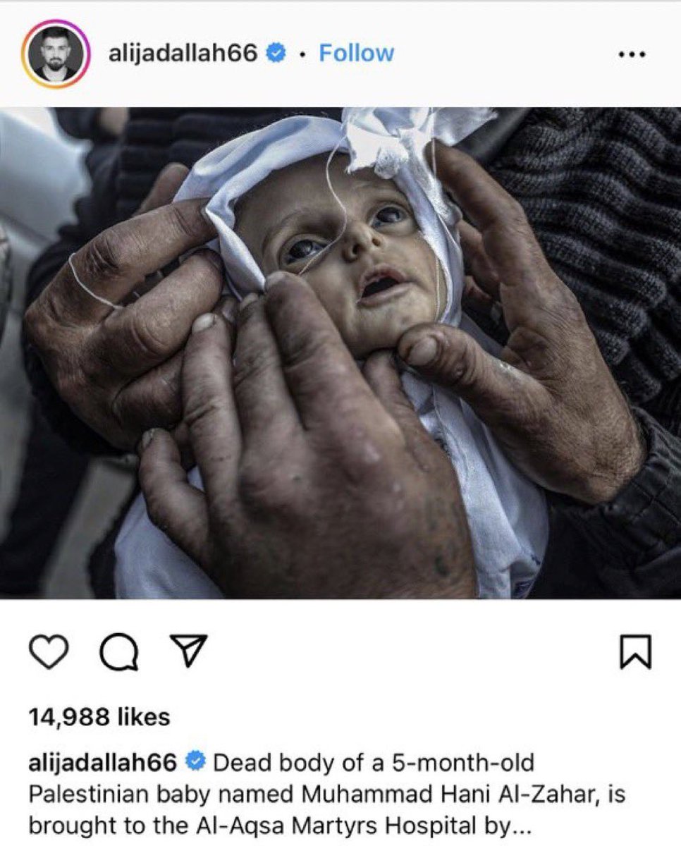 Shame on you.

Exactly what evidence did you base your tweet on?

With all the children dying daily in Gaza, you really think they need to post pictures of a doll!?

His name was Muhammad Hani Al-Zahar.

Stick to covering news in the Visegràd region.
