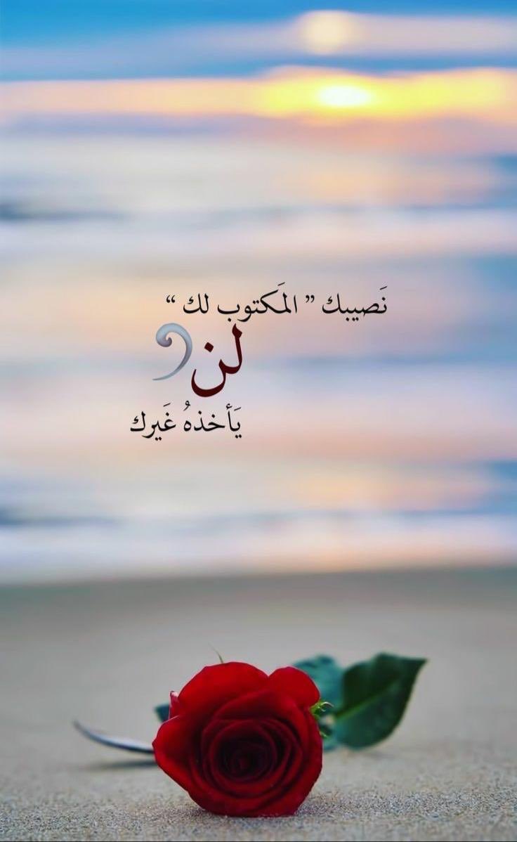 "يا رب هذّبني بالحلم، وأدبني بالمعرفة، وأفتح قلبي لخوض دهشة التجارب، سيّرني بين الناس بالعطف وجملّني بينهم بالحكمة وبساطة الروح، وفضلّني مع من فضلت من خلقك بحُبك و ولايتك وتأييدك." ❤️