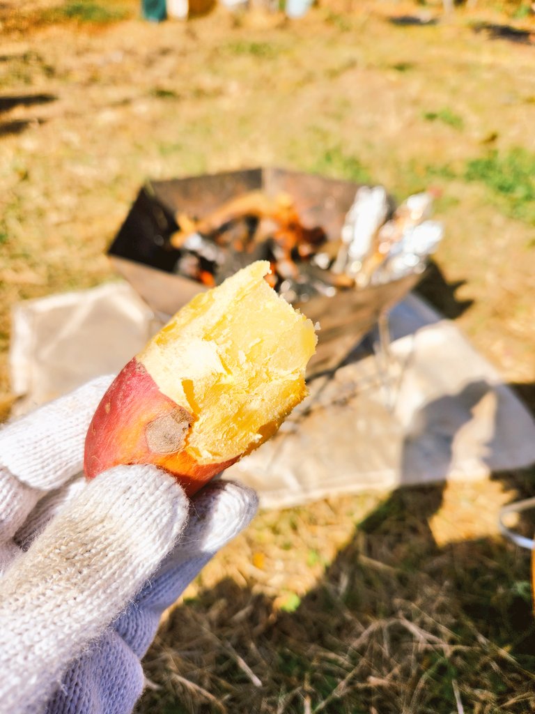171maru's tweet photo. 甘くておいしい🍠
みんなでワイワイしてやきいも大会
小学生ぶりに作ったかも
#デイキャンプ #焼き芋 https://t.co/Tt99rbBO2X