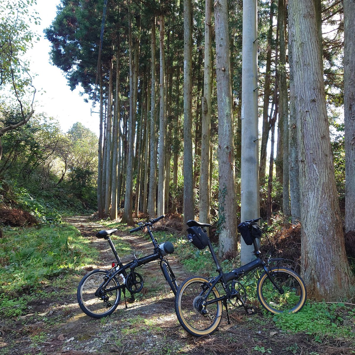 rin4443's tweet photo. 長崎街道…昔しの人はこんな所歩いてたんですね。
#dahon #dahonhit #ミニベロ #ミニベロのある風景 https://t.co/YxvT2H0mwE