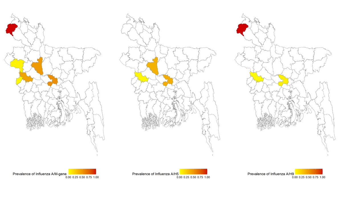 Our recent research on " Epidemiology and molecular characterization of  H5N1 and H3N8 subtypes in poultry farms and LBMs in Bangladesh <a href="/StJudeResearch/">St. Jude Research</a> @DeakinCIE <a href="/Miladtwetter/">Mohammad Mahmudul Hassan (Milad)</a> <a href="/Sharif_cvasu/">Shariful Islam🇧🇩🦇🚹🏞️🔬📊</a> 
rdcu.be/dswXe