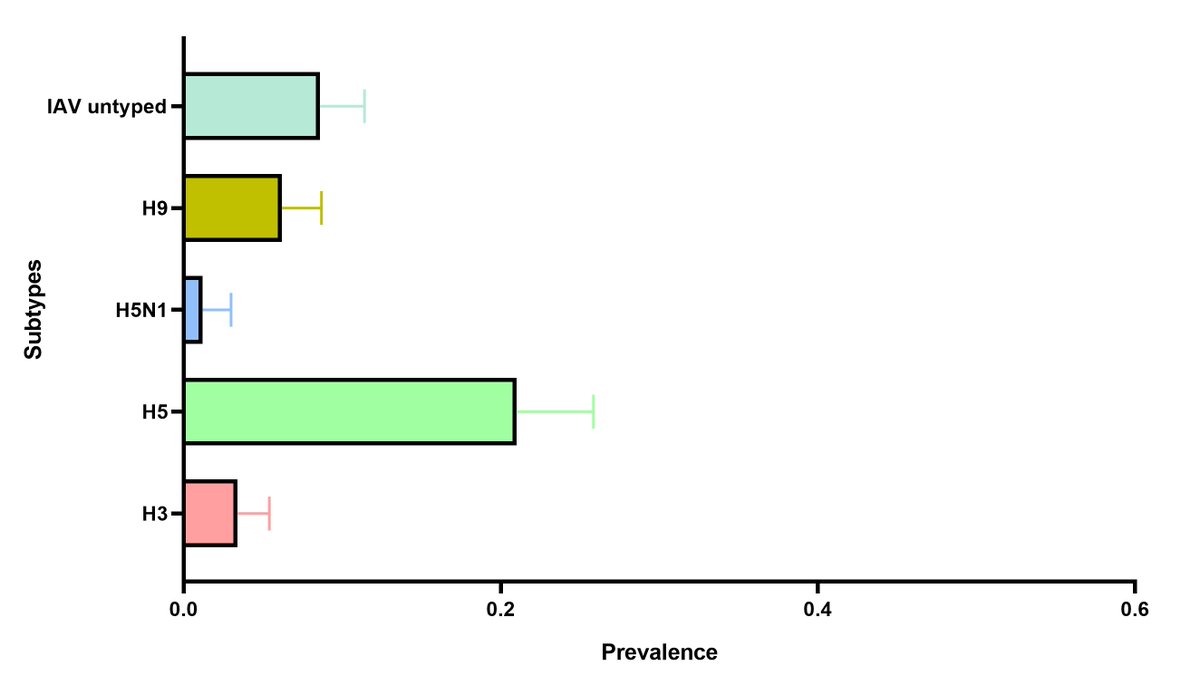 Ariful  Islam tweet media