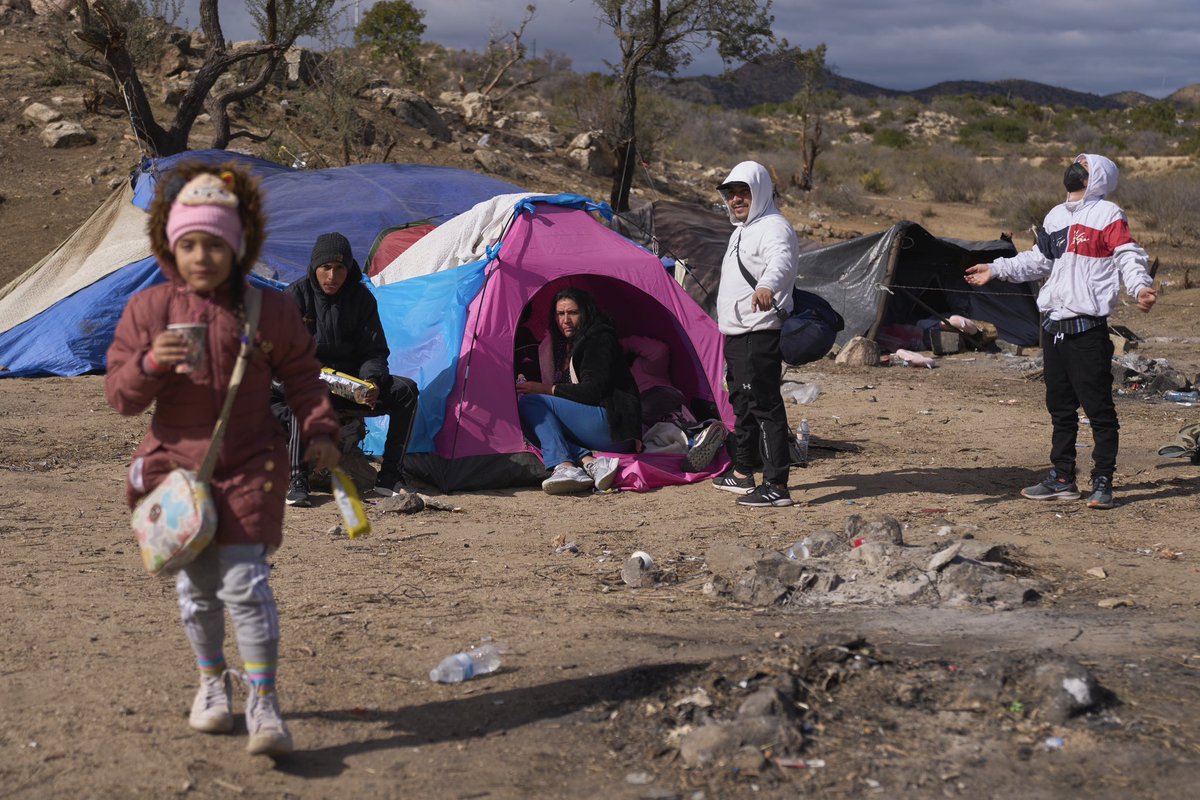 Allison Dinner tweet media