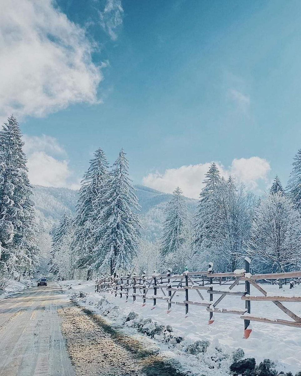 xyzwtf_55's tweet photo. Good morning everyone😊
#photography
#photographer
#Avrig🇷🇴 https://t.co/TzMec4Q0RP