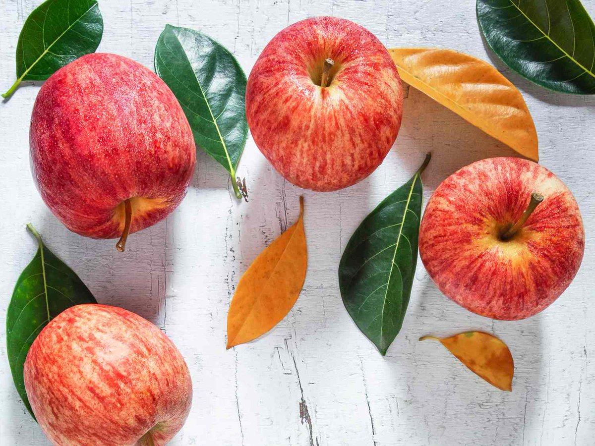 gonutrastore's tweet photo. Apples are rich in antioxidants, which protect your cells from free radical damage and contribute to overall health and well-being.
#Gonutra #superfood #healthyfood #vegan #beachbody #sweating #healthylifestyle #crossfit #fitfiance #eathealthy #food #health #nutrition #fitness https://t.co/NUwuRCmopi