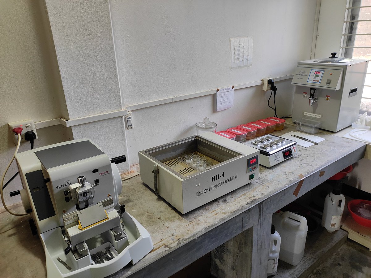 Mdmefta's tweet photo. Histology is going on....at the Laboratory of Ecophysiology https://t.co/MGBKGToXjt