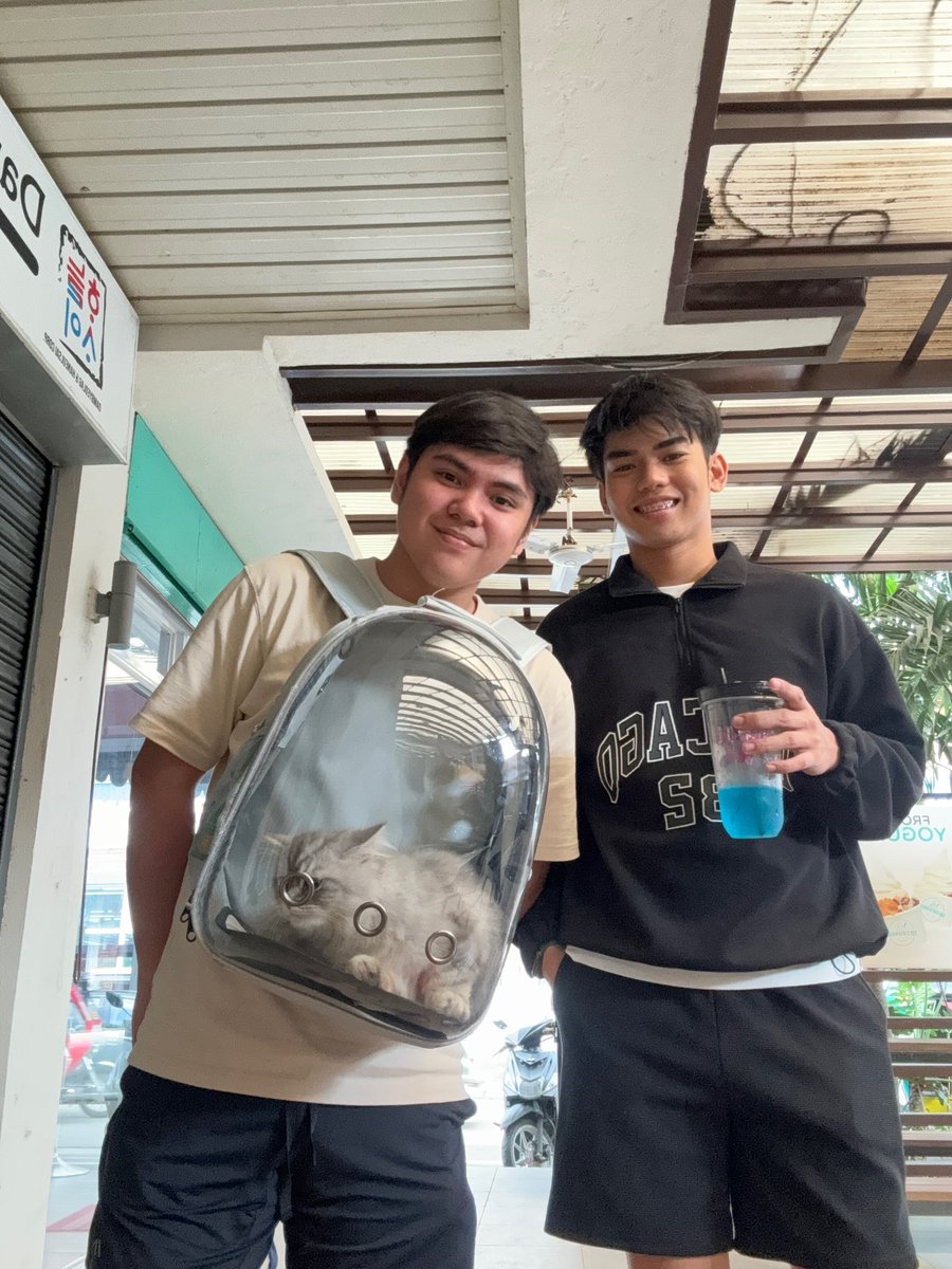 Meet our baby Oscar 🫶🏻😺