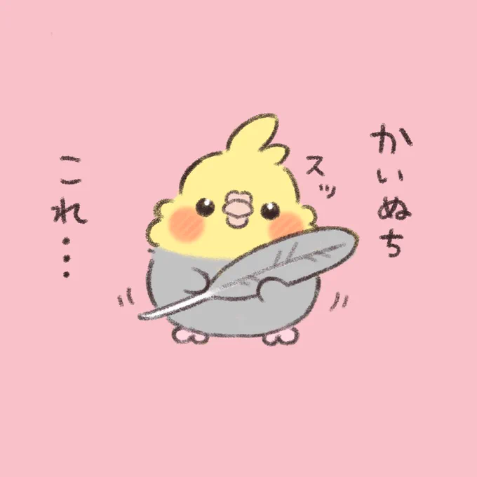 かいぬち、これ…  #オカメインコ