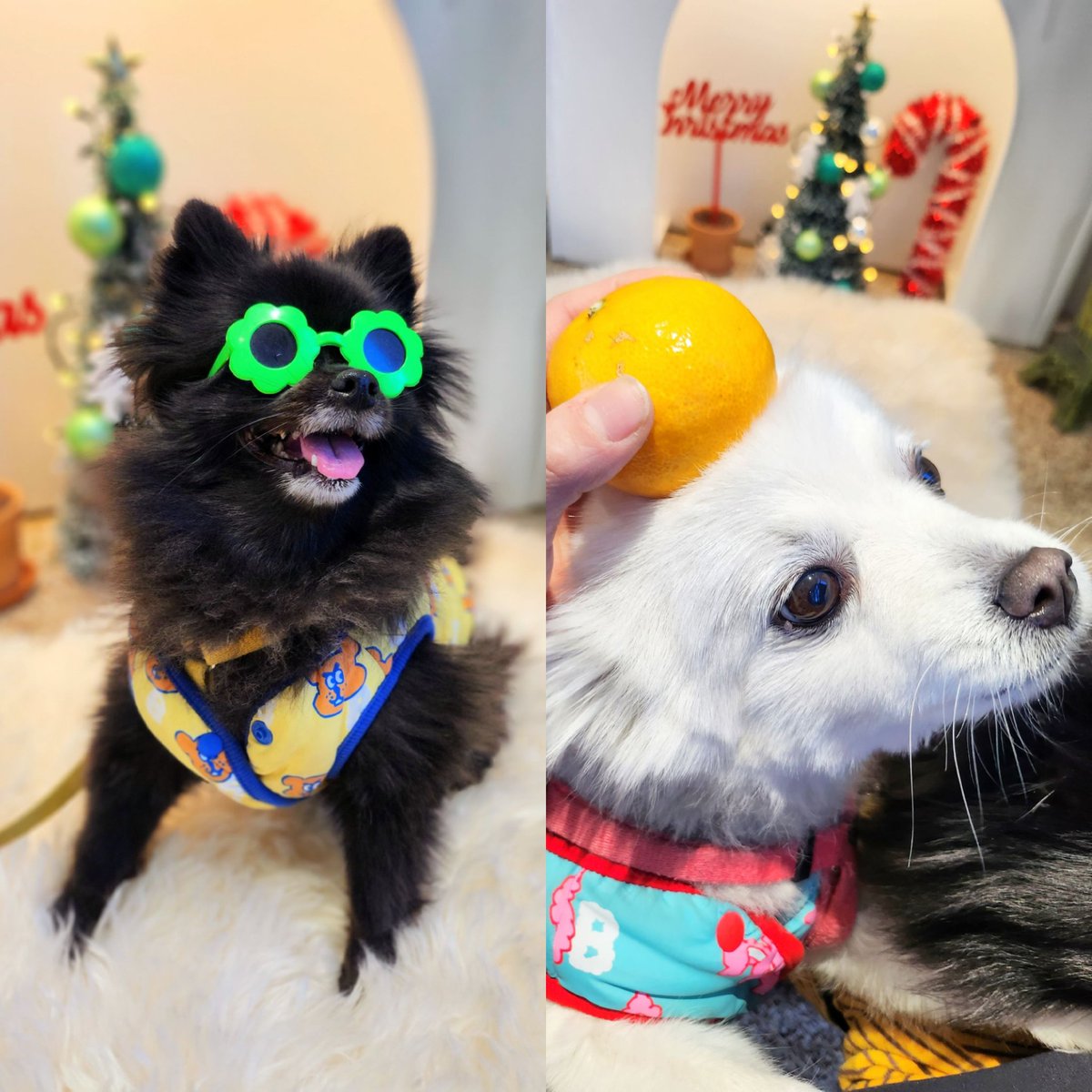 미리크리쑤마쑤