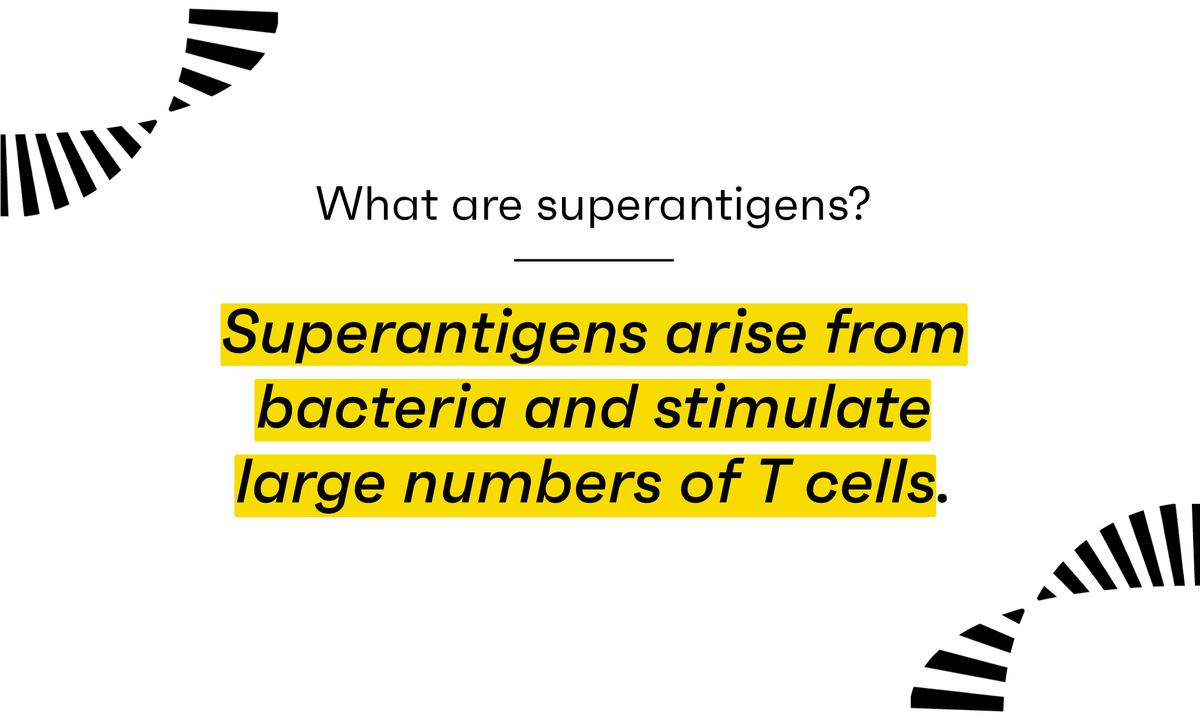 OmniscopeAI's tweet photo. 🤔 #Didyouknow? Certain bacteria produce superantigens that can stimulate large numbers of T cells indiscriminately, leading to a harmful overreaction of our immune system!
#NoTCellLeftBehind #ScienceIsWeAll https://t.co/KOBcA0PQ20