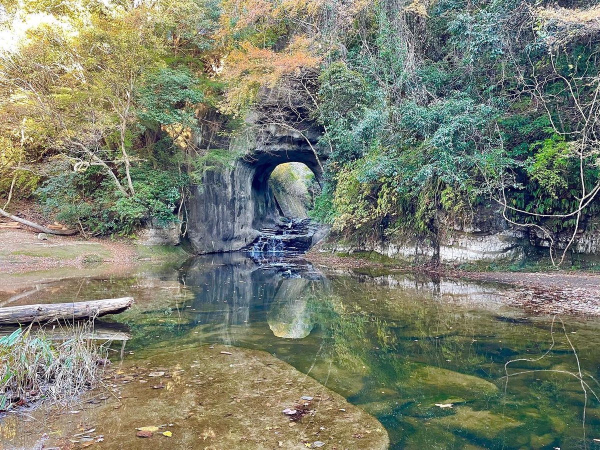 tar_japonica's tweet photo. Off topic.
#travelphotography #naturephotography #nature #travel #japan #visitjapanjp #chiba #bosopeninsula #亀岩の洞窟 https://t.co/Y1uSvHG5rk