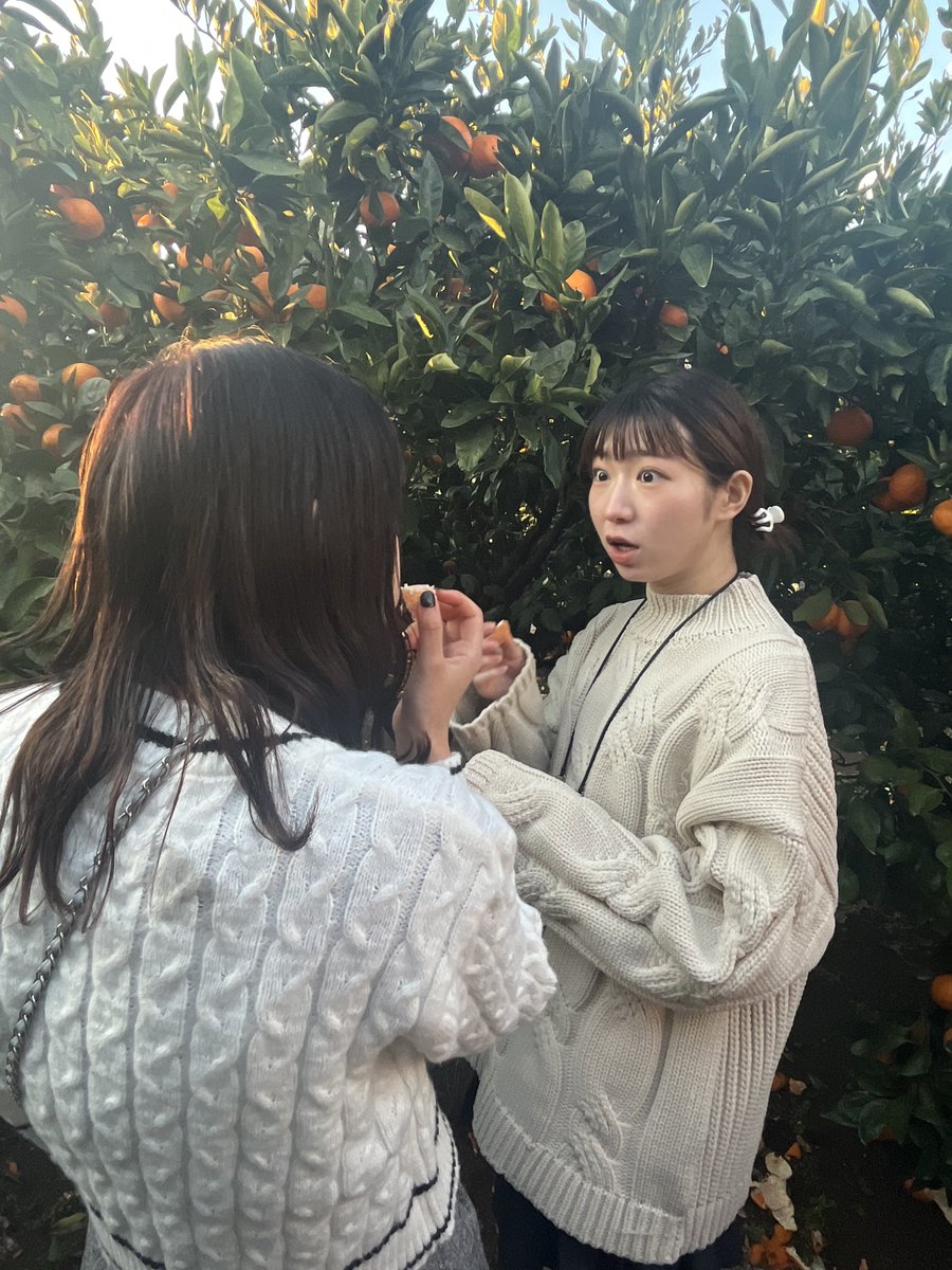 にくまん (@mame29man) / Posts / X