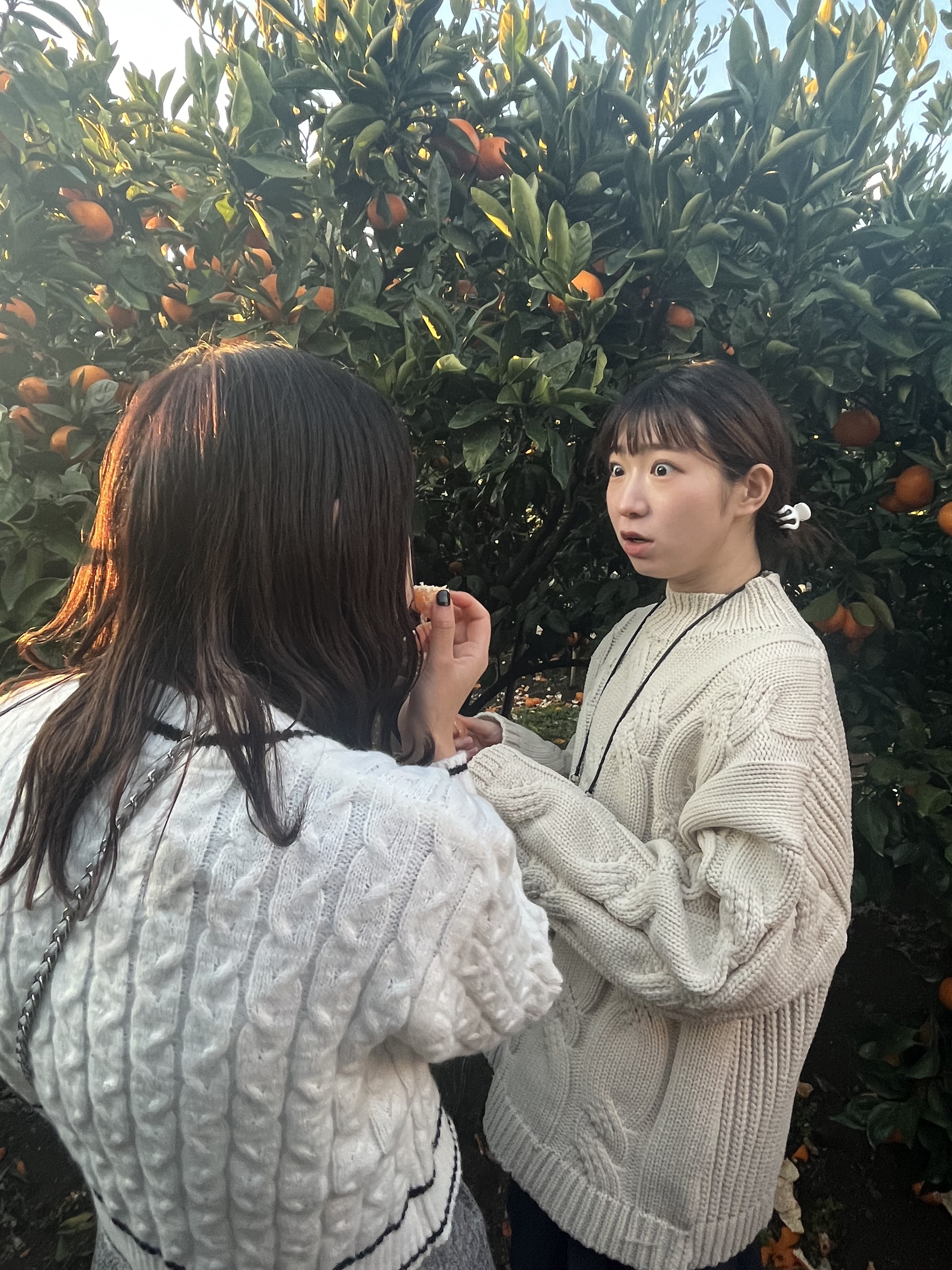 にくまん (@mame29man) / X