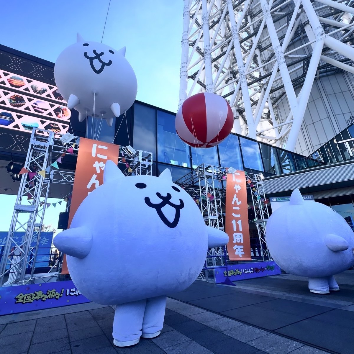 サラニ‼にゃんこがまいりまーす!/ 来週末より大阪、名古屋にも サラニ‼にゃんこがまいりまーす!/ 来週末より大阪、名古屋にも