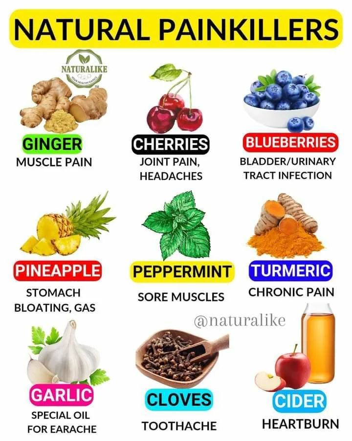 Organic Live Food tweet media