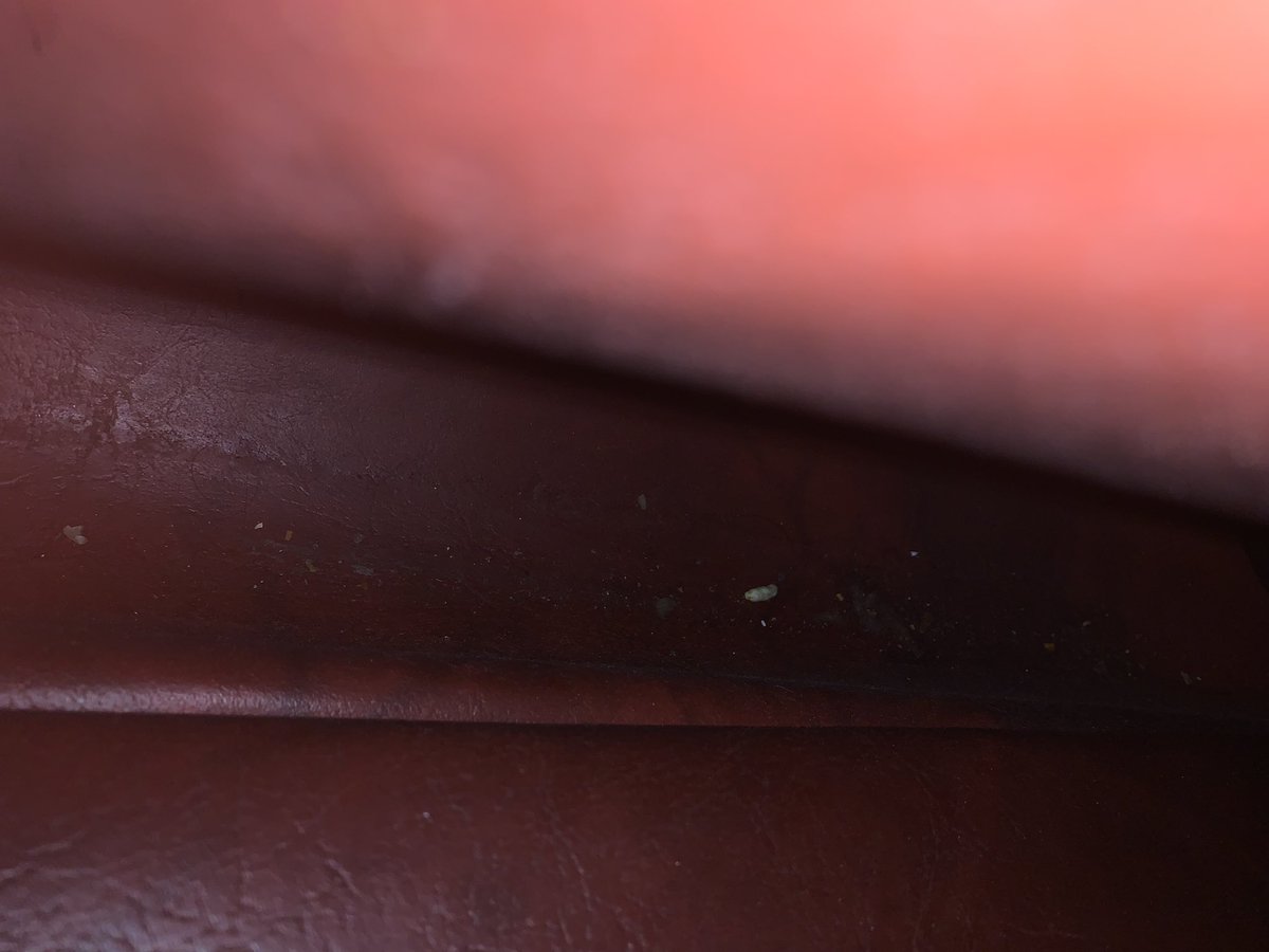 Utkarsh Bahadur tweet media