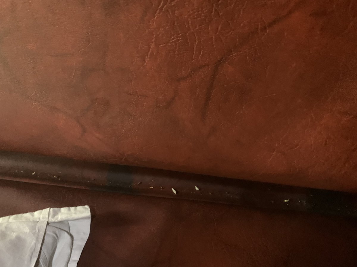 Utkarsh Bahadur tweet media