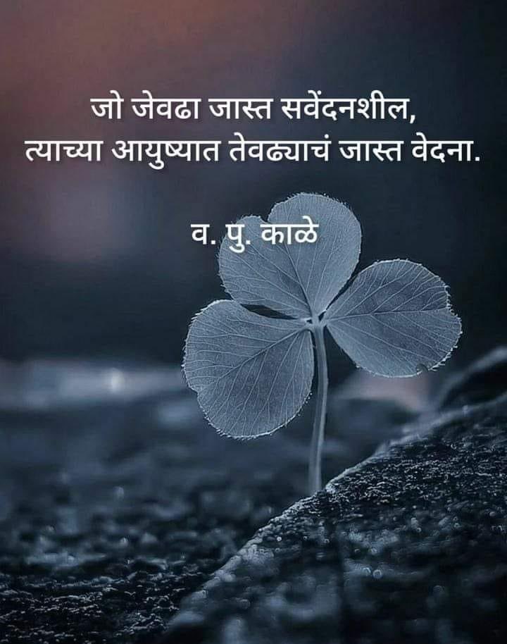 bipinjagtap16's tweet photo. Good morning #vapu https://t.co/9WHboapfeP