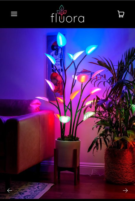 I want this lamp in my house.  https://t.co/B0yqoEtVrj https://t.co/UPqn2rxZfp