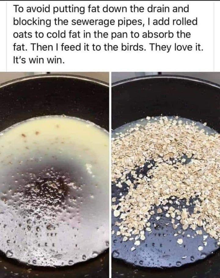 Another genius idea from the internet! Add some nuts and seeds to give the birds a real snack.