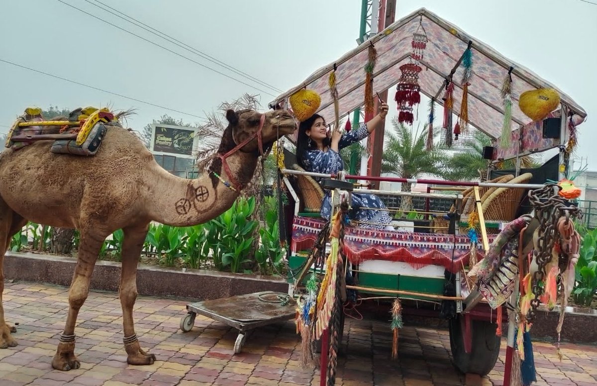 ये भी सेल्फी के लिए पोज़ दे रहे हैं 🤠
