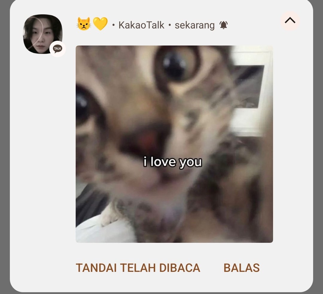 jimindsi's tweet photo. Mbak taylor, pacarku lucu sekali https://t.co/tiwuBJgQOp