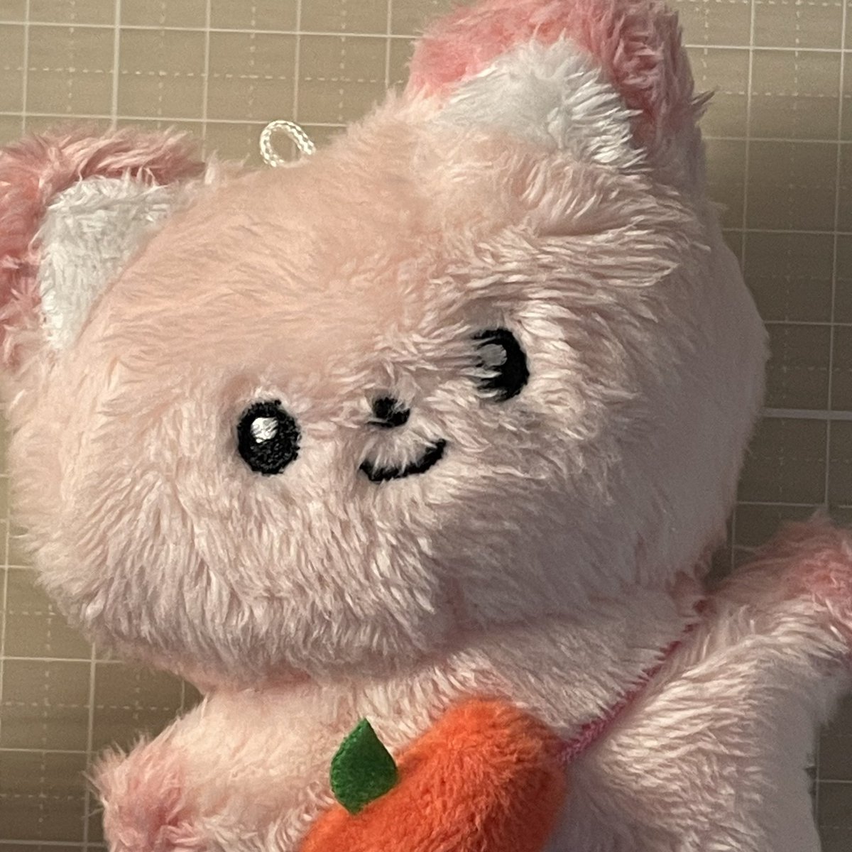 민트떤 도착💕
폭스떤한테 복숭아 가방도 매치해줬어요🥰