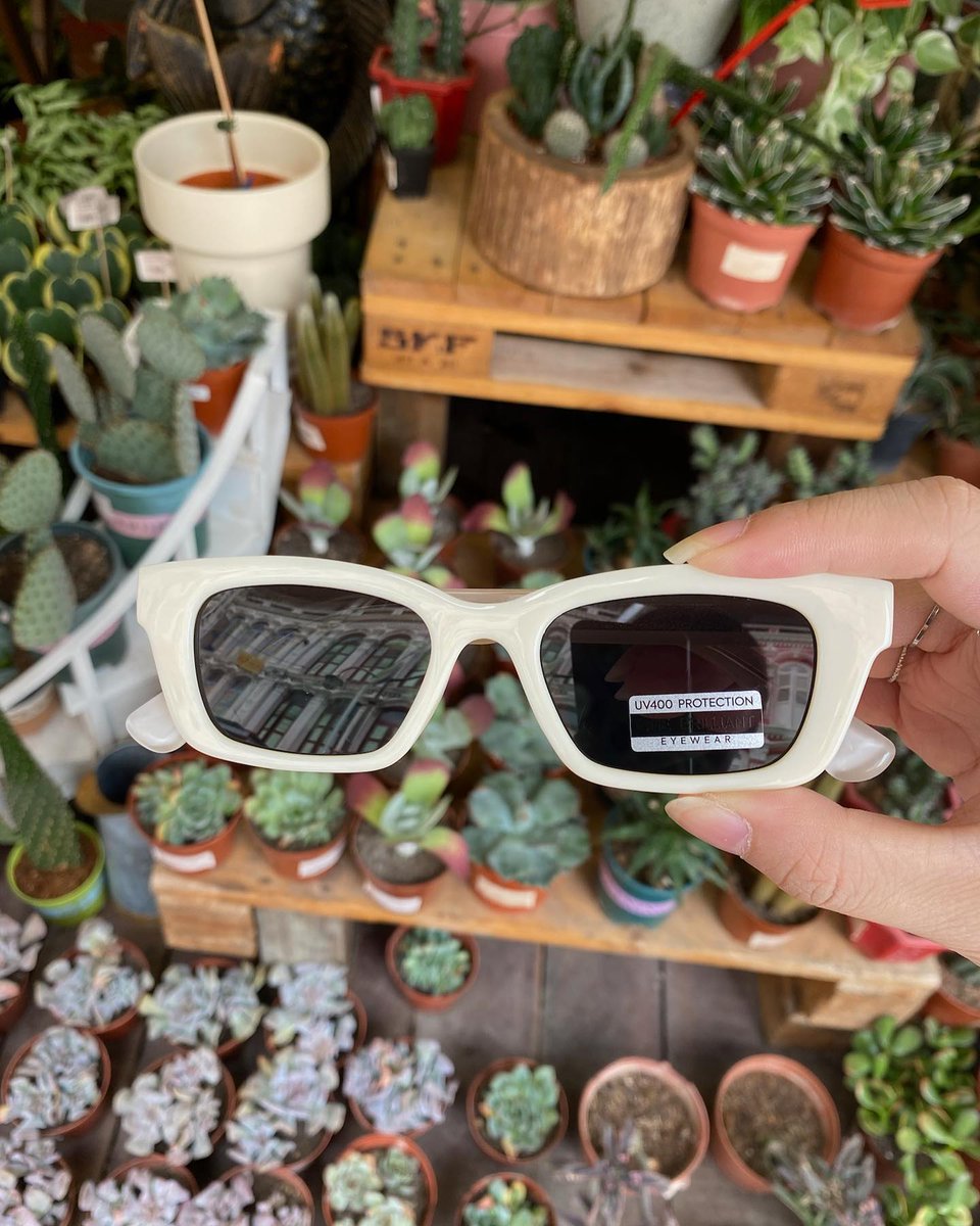 spoilt proprieter
Bạn có muốn có một người bạn phụ nữ thích nghệ thuật và cùng nhau tham gia vào các khóa học nghệ thuật không?