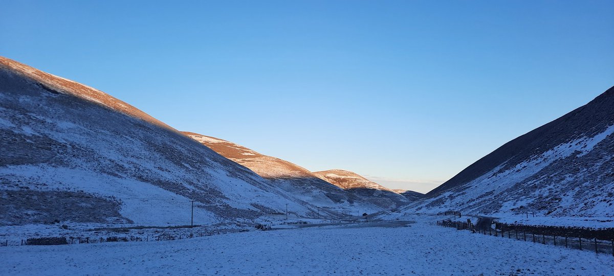 Jon McCosh tweet media