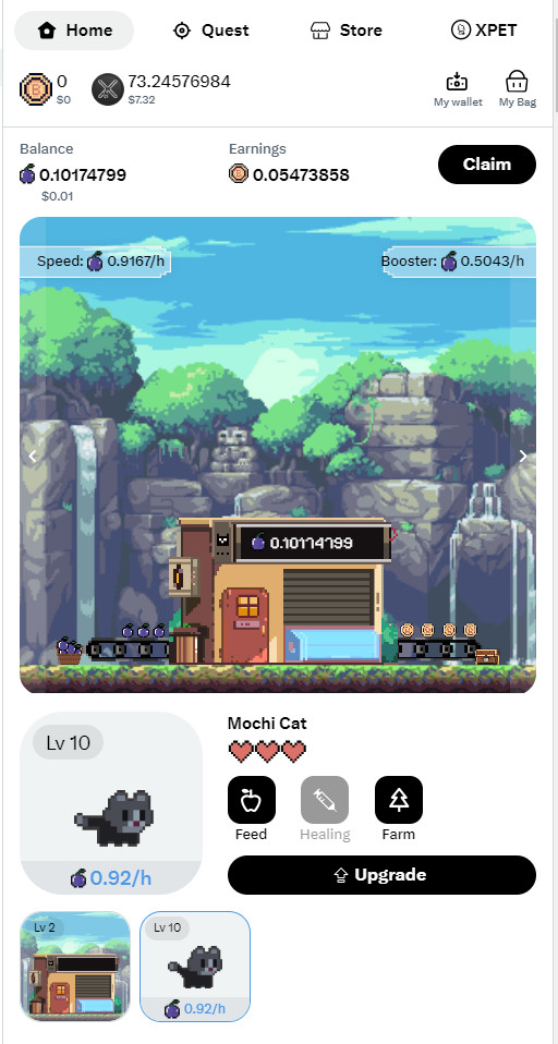 kxochitl tweet media