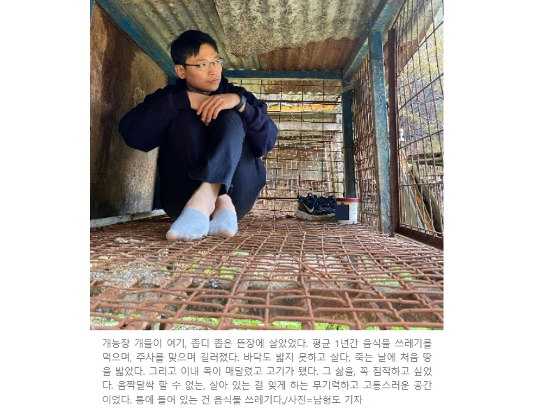 aniko_welfare's tweet photo. "꽉 막힌, 철창으로 된 뜬장에서 할 수 있는 게 딱 하나 있었다. 뒤쪽에 덧대어져 있는 나무판자가 그 안에서, 무언가 해볼 수 있는 유일한 거였다. 그걸 알아챈 순간 그 나무판자가 사정없이, 또 불규칙적으로 패여 있는 걸 봤다."(기사읽기: https://t.co/SwMOBHteyQ) https://t.co/Y9f0Dc5bTe
