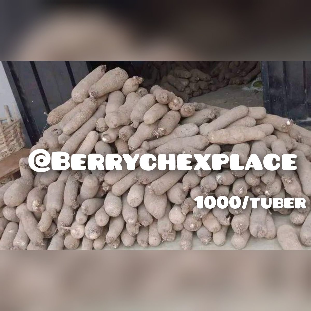 Berrychexplace's tweet photo. Please patronise me....🙏
 if you don't patronise me how will I see food to eat? 
I understand if you personally don't need my services, please buy for your follwers, there's serious hunger in Nigeria, feed/ cloth someone who can't feed or cloth.

#MerryDecember
F1 7000
F4 5000

@harrizone98 @blessed4ever_10 @spiriitual @Timiglow @Emmanuel_Tips @Akpochimara1
Please patronise and support me 🙏
Location Kaduna