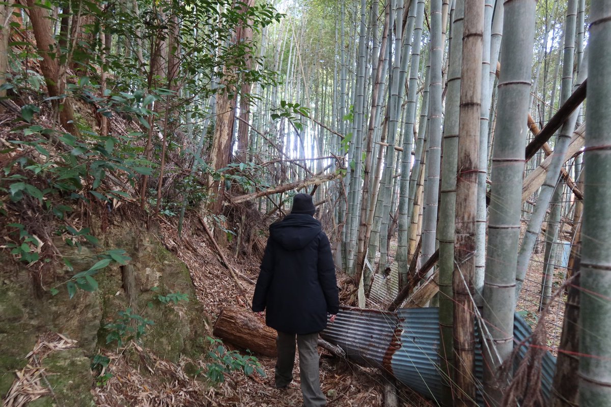 Judy_cortes's tweet photo. Favorite pics from Japan🤭 https://t.co/6qKHLygM8k