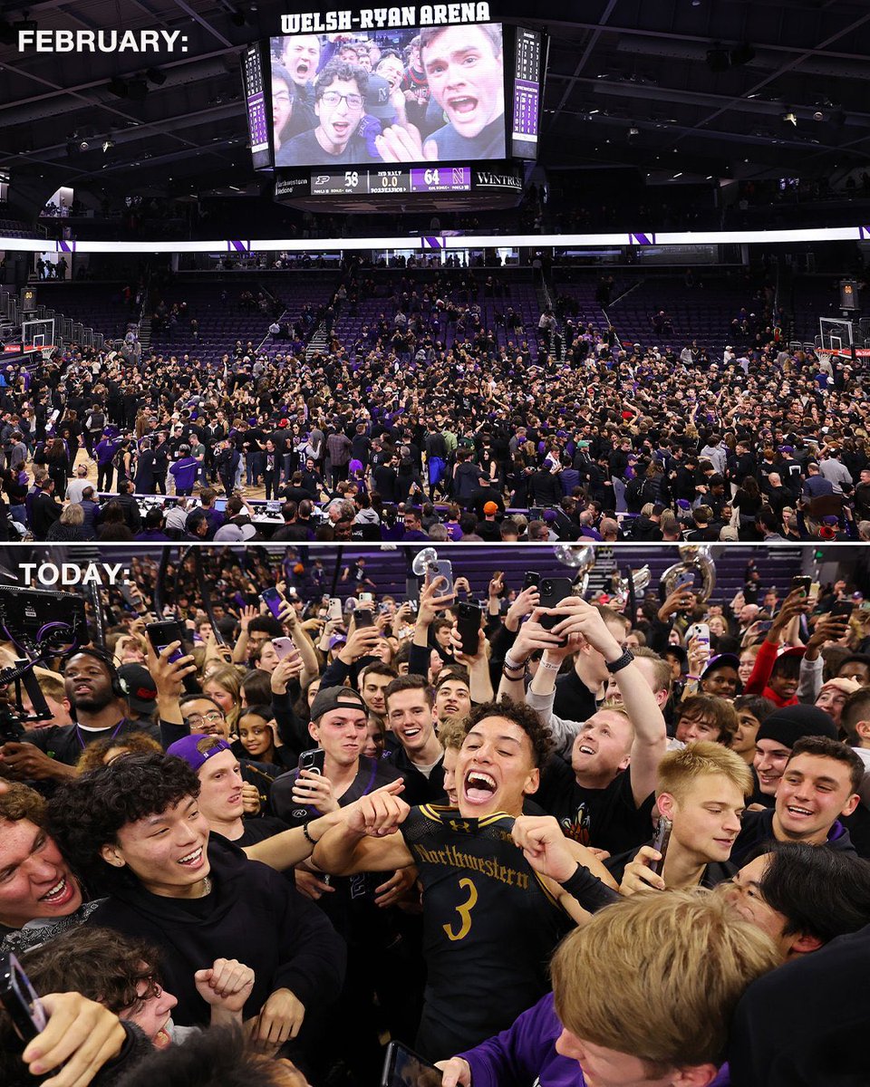 HowToMouse's tweet image. 