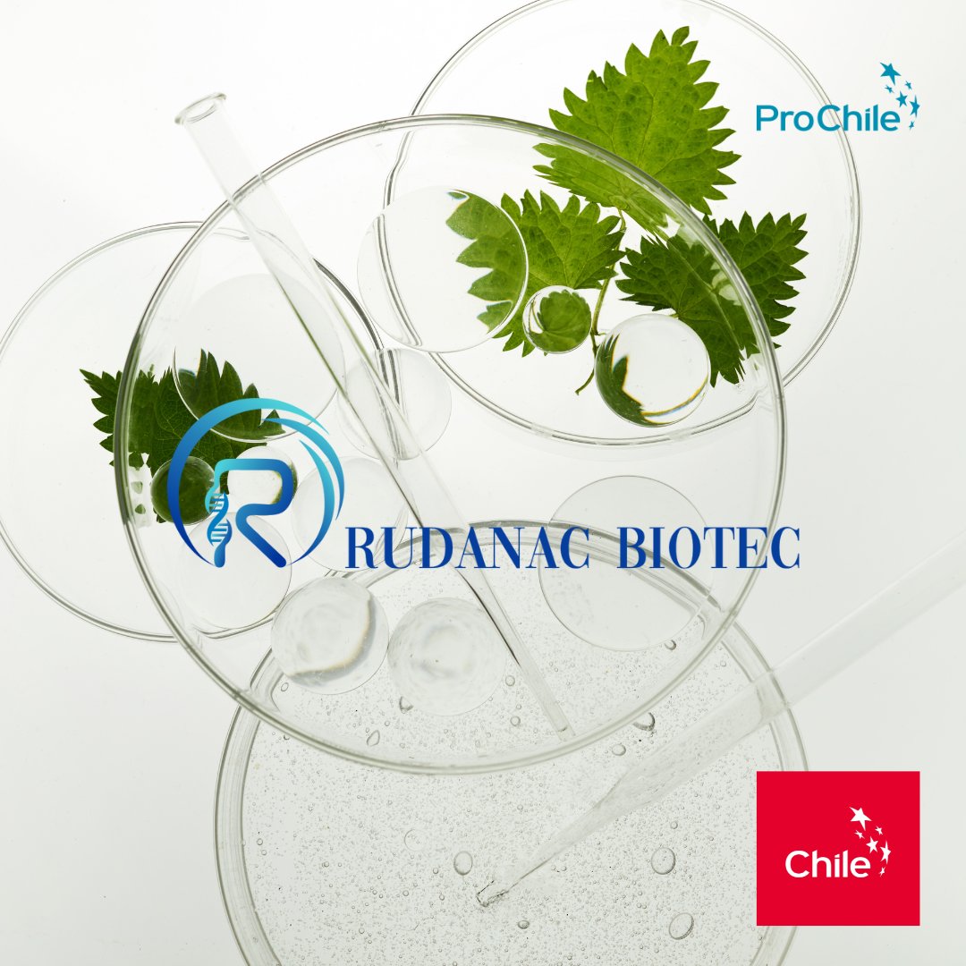 Rudanac Biotec: Making a difference in the world by providing environmentally friendly solutions to industrial waste problems.
#RudanacBiotec will be joining <a href="/ProChile/">ProChile</a> in Dubai for <a href="/COP28_UAE/">COP28 UAE</a>
#COP28 #Chile #ProChile #SustainableDevelopment #RenewableEnergy