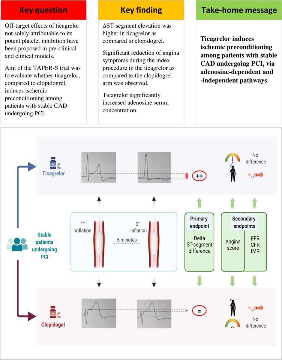 European Society of Cardiology Journals (@esc_journals) on Twitter photo #Ticagrelor enhances the cardioprotective effects of ischemic preconditioning in patients undergoing #PCI: the TAPER-S randomised trial bit.ly/47VjbkP
<a href="/AgewallStefan/">Stefan Agewall</a> <a href="/FeliceGragnano/">Felice Gragnano</a> <a href="/DDamario/">Domenico D'Amario</a> <a href="/ItaloPorto2/">Italo Porto</a> #EHJPharmacotherapy #ESCYoung #Ticagrelor enhances the cardioprotective effects of ischemic preconditioning in patients undergoing #PCI: the TAPER-S randomised trial bit.ly/47VjbkP
<a href="/AgewallStefan/">Stefan Agewall</a> <a href="/FeliceGragnano/">Felice Gragnano</a> <a href="/DDamario/">Domenico D'Amario</a> <a href="/ItaloPorto2/">Italo Porto</a> #EHJPharmacotherapy #ESCYoung
