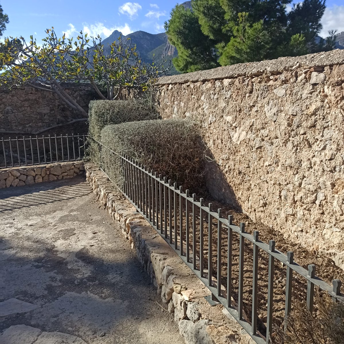 SergioPastorES's tweet photo. CUIDAR y CONSERVAR lo que tenemos 🫶 Esta semana desde Servicios Técnicos se han acometido trabajos de poda y limpieza en la zona de nuestro bonito castillo de #Polop
@AjuntamentPolop
#MejorandoPolop #ActivandoPolop #Polop https://t.co/PbfizwcRN4