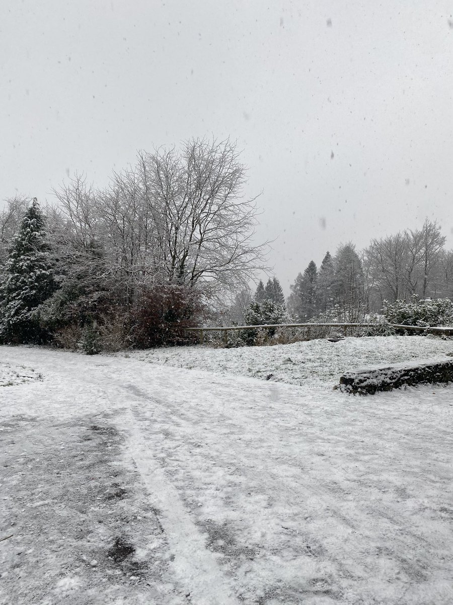 Michelle Bennett tweet media