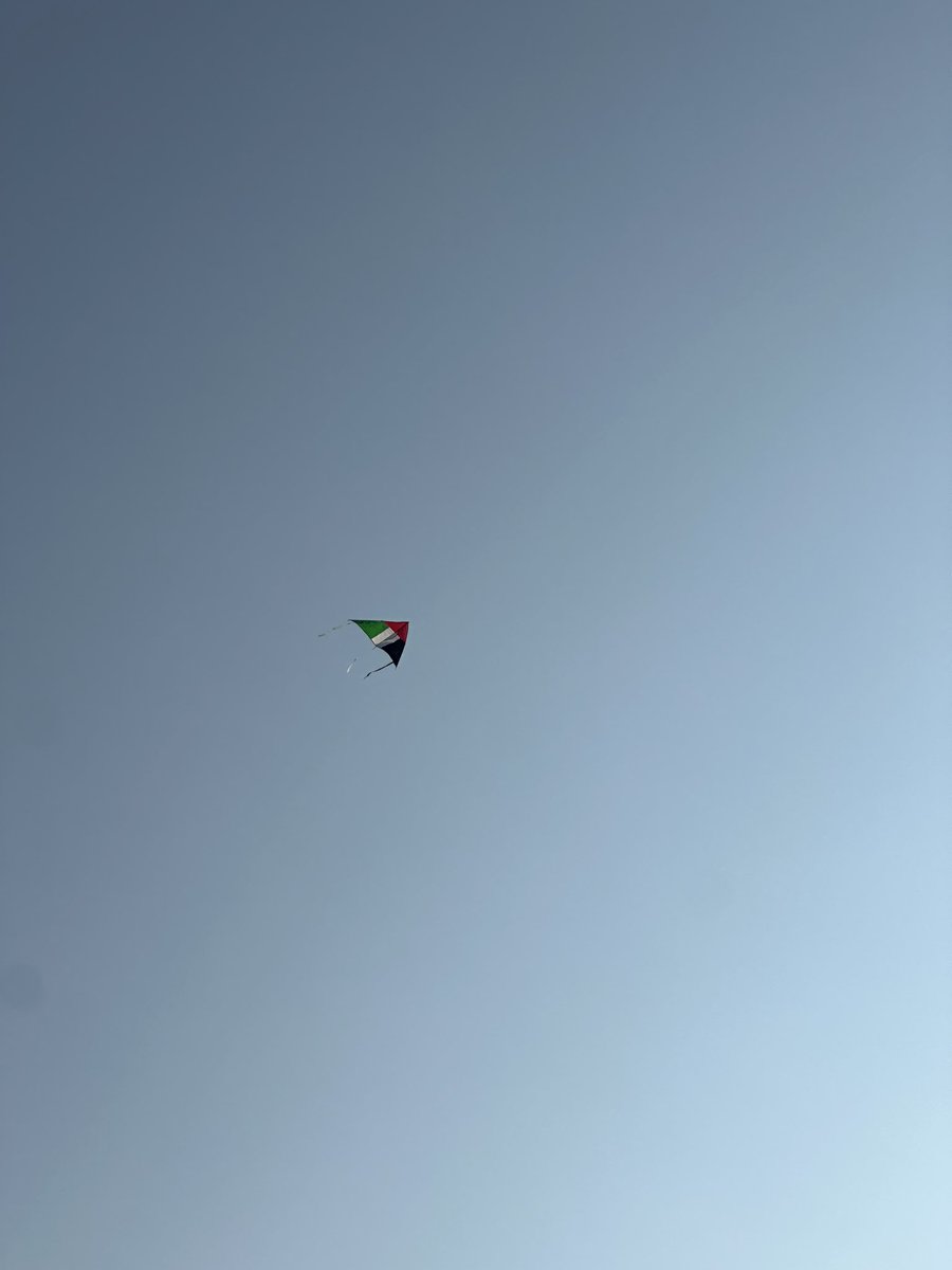 Lorenabrtn's tweet photo. United Arab Emirates National Day ! 
#NationalDay https://t.co/PGivZSnAE6