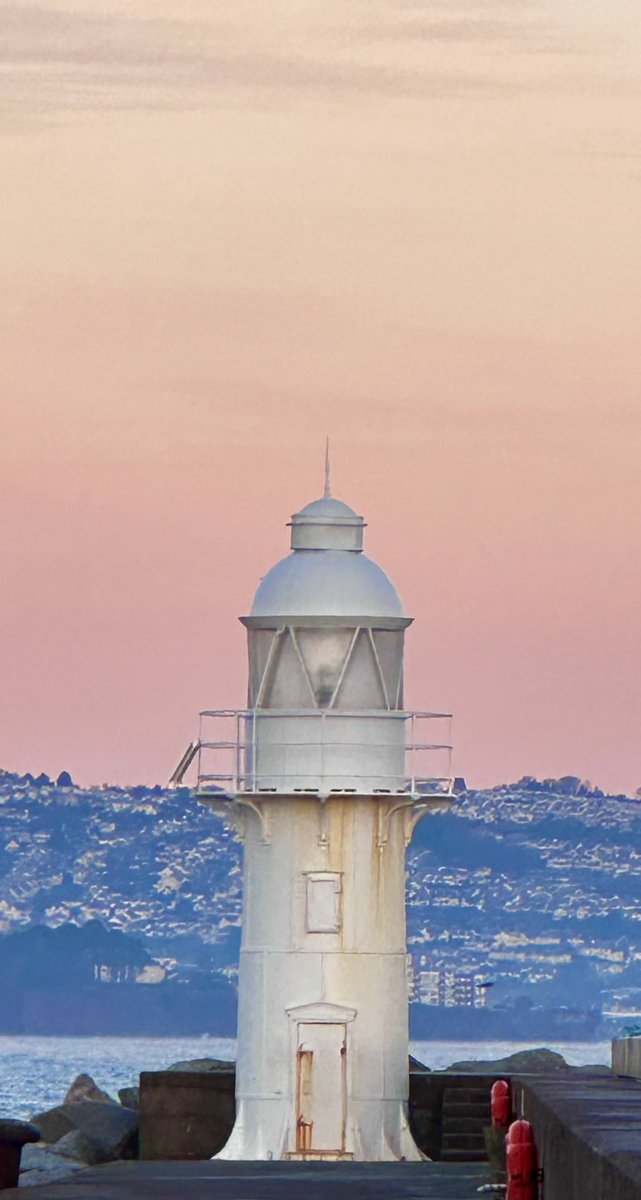 Sunrise Brixham Devon @weatherchannel @Brixham @DevonLife @Natures_Voice #sunrise #birdphotography #brixham #devon