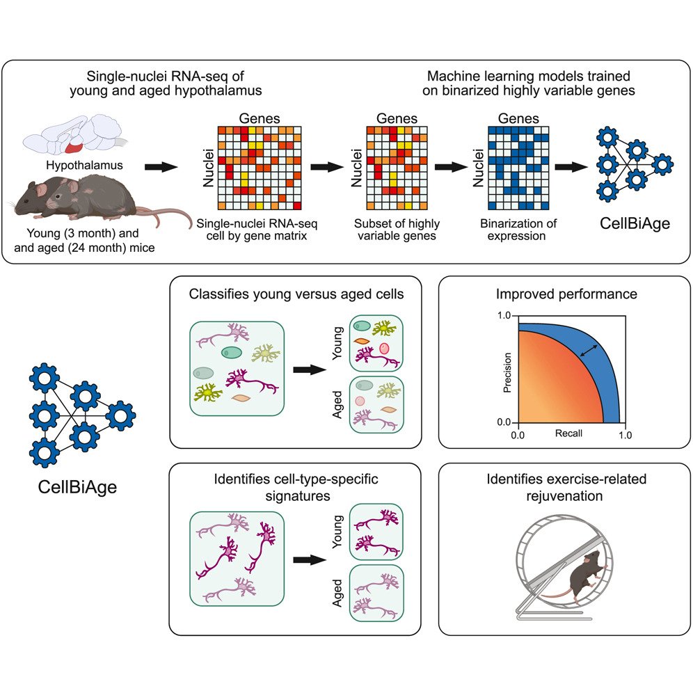 Agingdoc🩺Dr David Barzilai🔔MD PhD MS MBA DipABLM tweet media