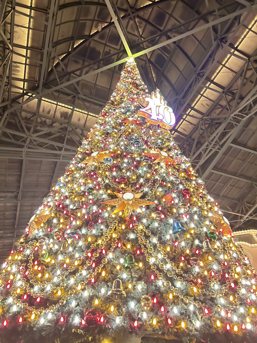 みんなでディズニランドー！ 去年のクリスマス生配信でいただいた