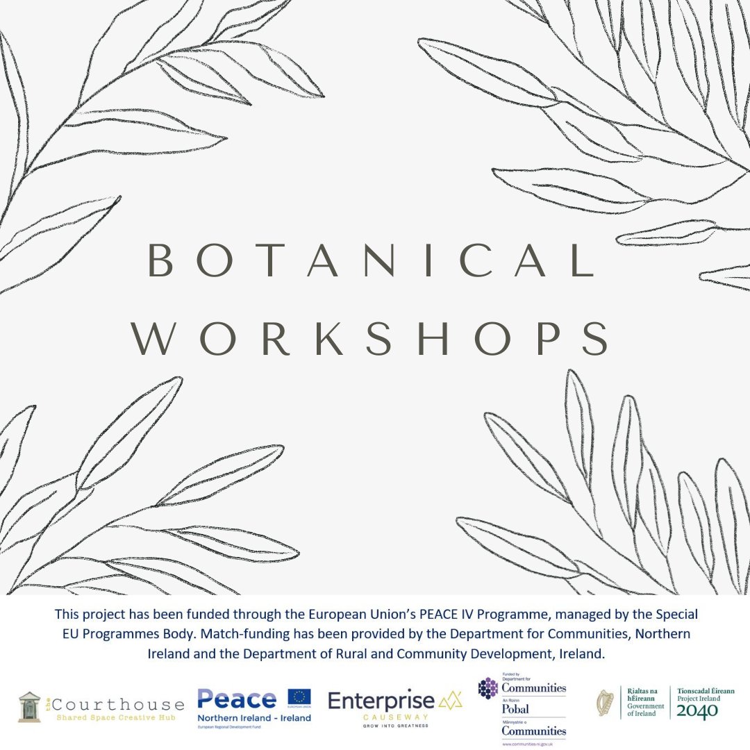 Mon 11th & Tue 12thDecember 10am – 4pm @BroughgammonFrm *Lunch provided ✔️ Foraging ✔️ Recycled paper plant making ✔️ Apothecary workshop ✔️ Cyanotypes 𝐑𝐄𝐆𝐈𝐒𝐓𝐄𝐑: email thecourthouse@enterprisecauseway.co.uk or call 028 7035 6318