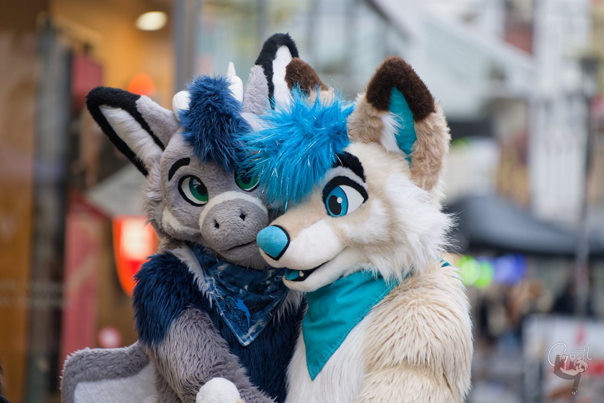 Get yourself a cute little fox to cuddle with on #FursuitFriday and over the weekend.

My cuddle fox <a href="/Fusselgenerator/">Sereas</a> 💙
Wonderful picture by @dasgecko