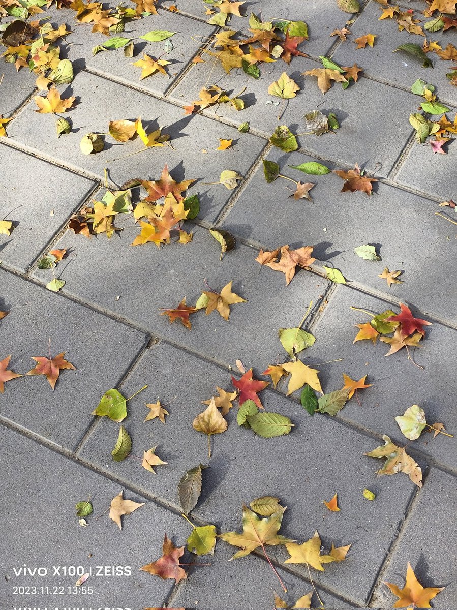 oozzy (@vier) on Twitter photo 